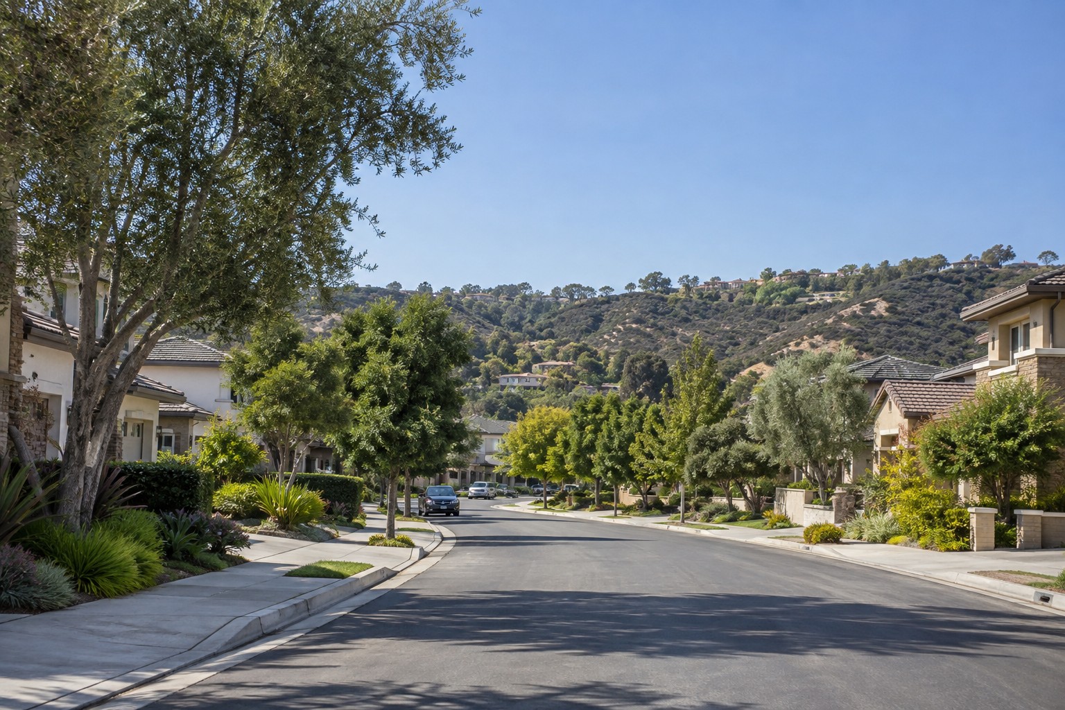 Carmel Valley